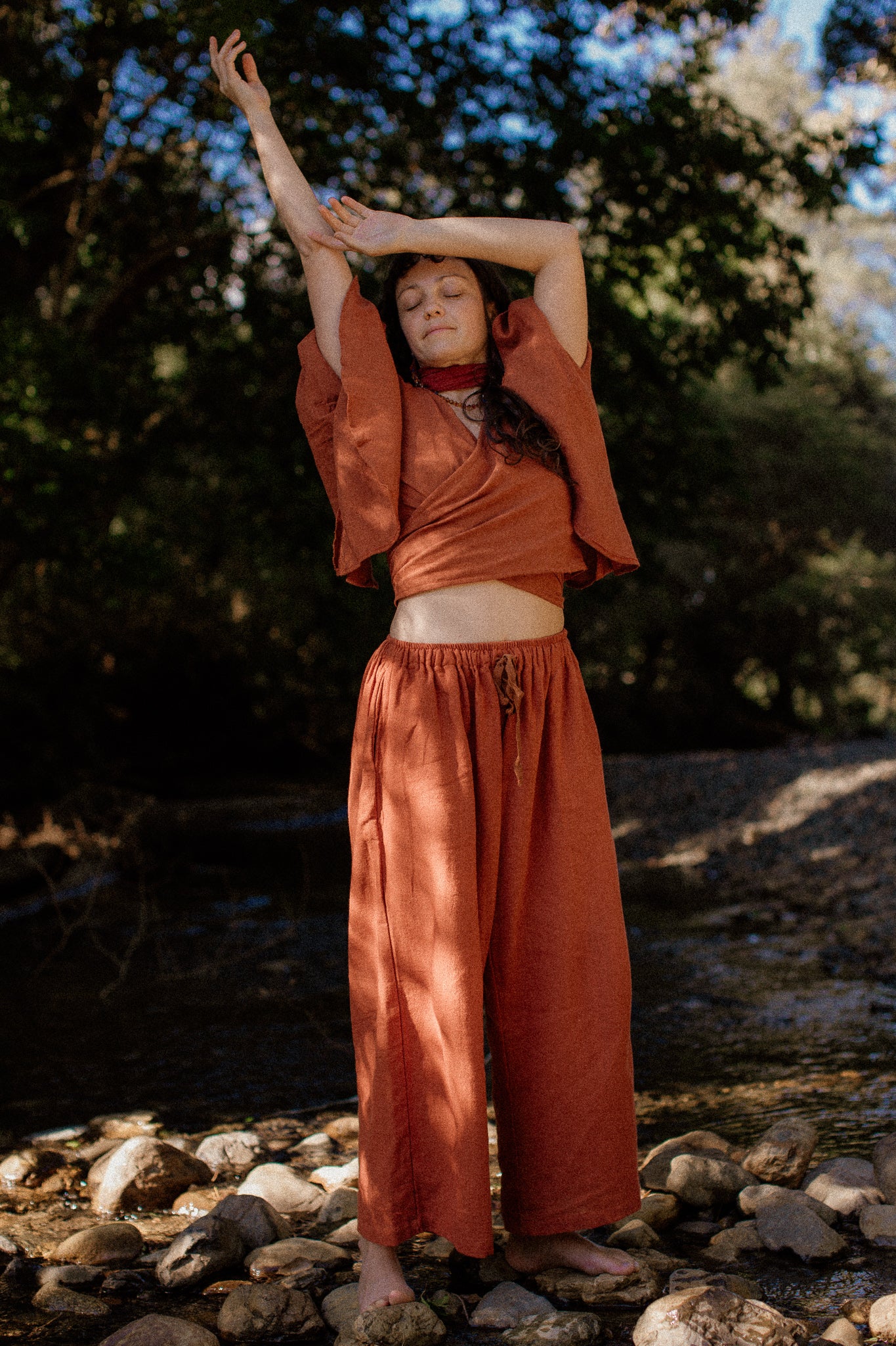 Dali Pants Rust